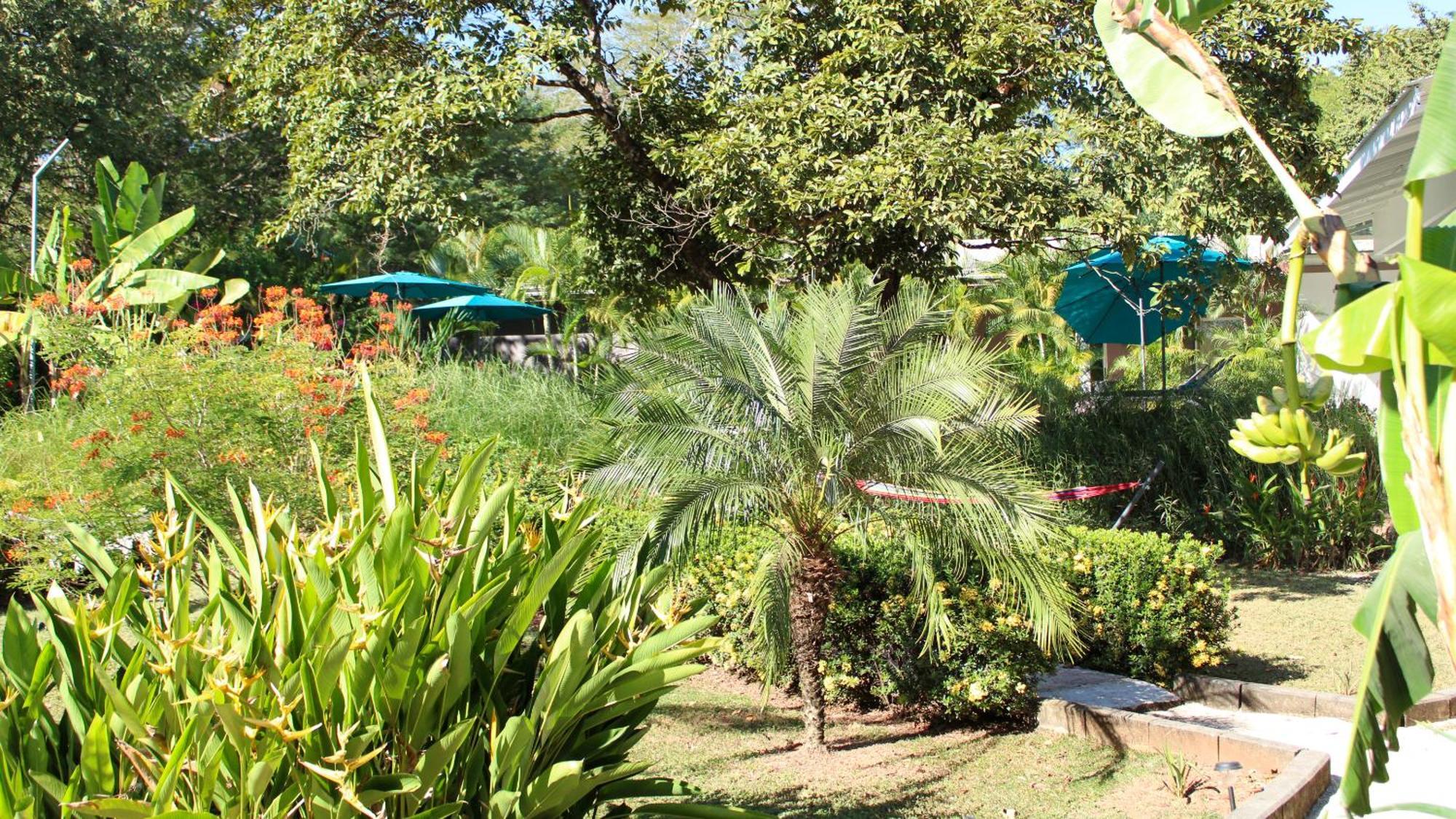 Tee-K Lodge Tamarindo Extérieur photo