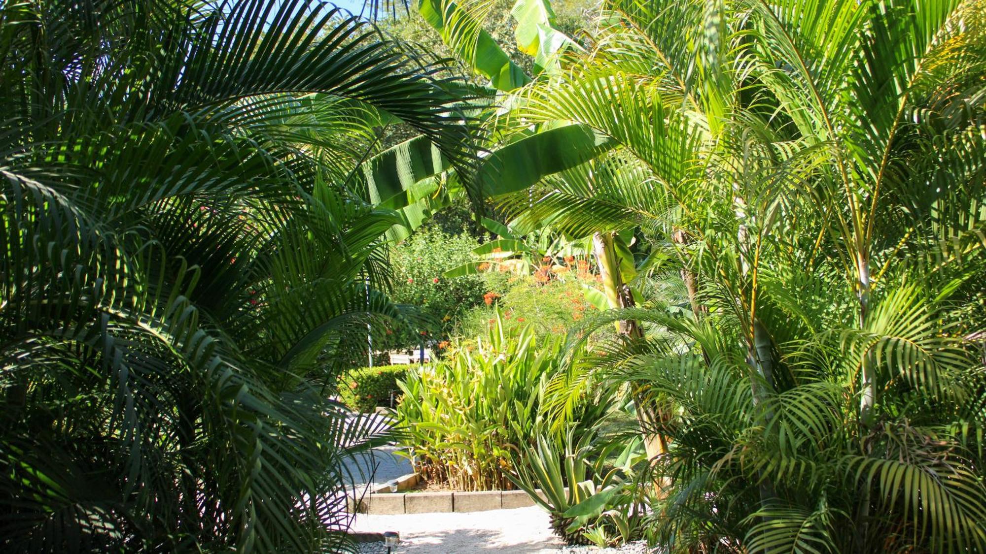 Tee-K Lodge Tamarindo Extérieur photo